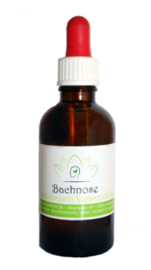Bachnose Bachbloesem samenstelling