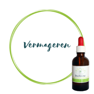 Vermageren Bachbloesems