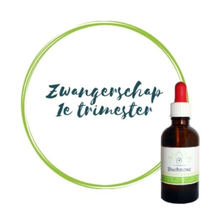 zwangerschap bachbloesem