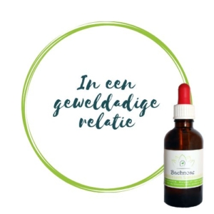 gewelddadige relatie