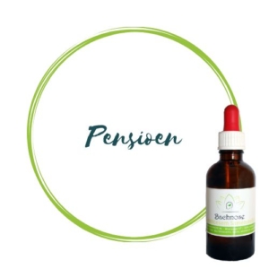 pensioen